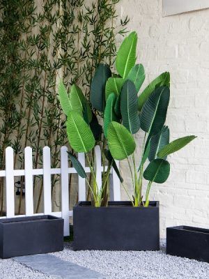 Plantenbakserie